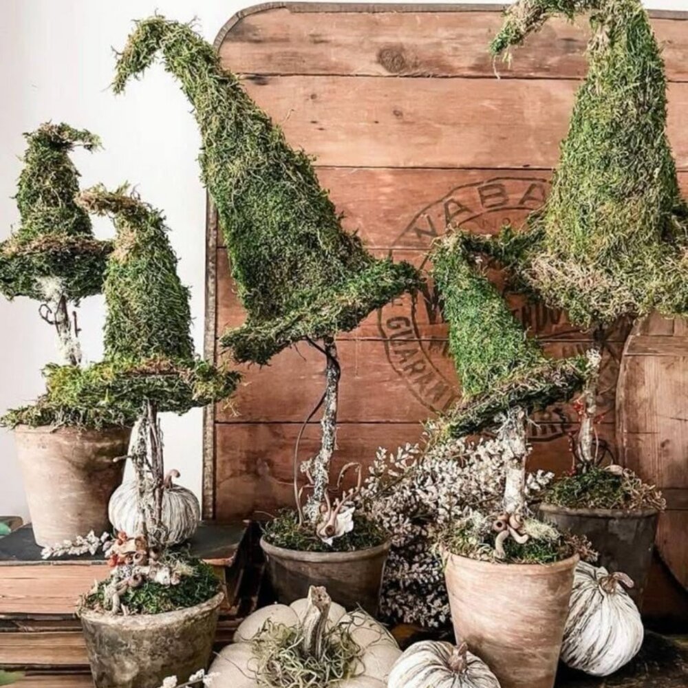 Meet your Posher, The Primitive  Pot